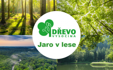 Jaro v lese