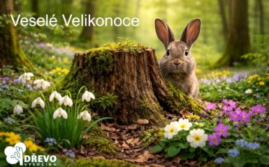 Veselé Velikonoce